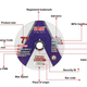 Introduction to SALI Cutting Discs